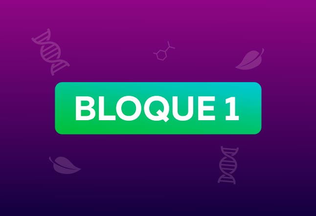 4. ° de Secundaria | Capítulo N° 8 - El Núcleo Celular | Bloque 1