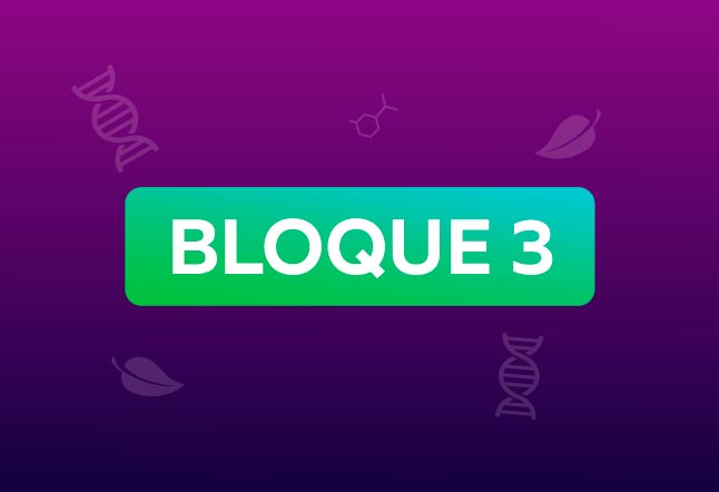 4. ° de Secundaria | Capítulo N° 20 - La Gestación | Bloque 3