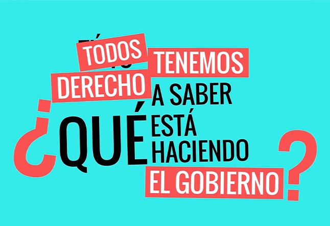 Capítulo N° 21 - La opinión pública en Latinoamérica