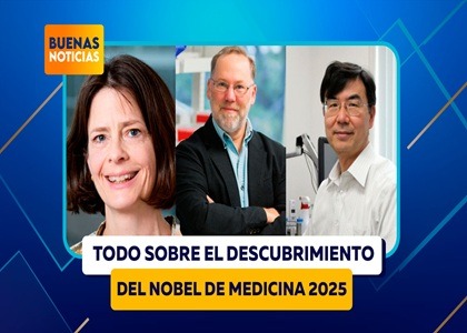 CÉLULAS T: GUARDIANAS INVISIBLES DEL SISTEMA INMUNOLÓGICO