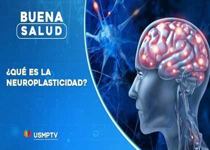 ¿QUÉ ES LA NEUROPLASTICIDAD?